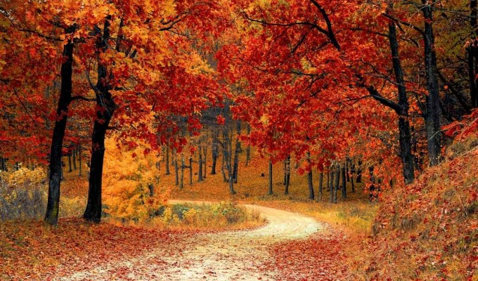 Foliage in Veneto con i bambini: 10 gite facili